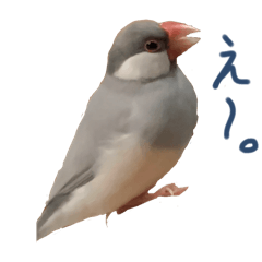 Karina_20250730112610