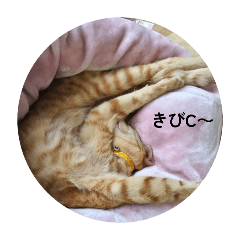 sachi_20250729195952