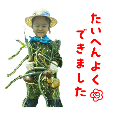 Asahi_20250730070714