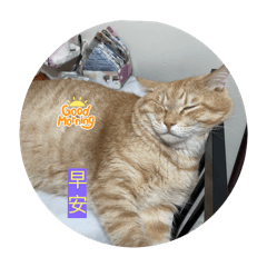 第一次做貼圖may