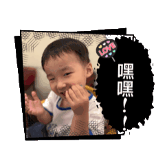 卓寶貝321