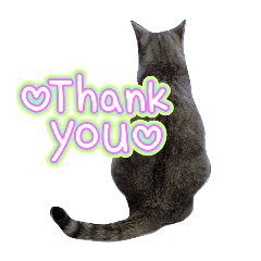 mosaku_20250729220330