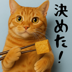 Xiaohuas Funny & Useful (Japanese)