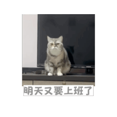 豬太郎的寶貝球