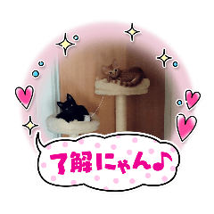 suzu_20250730063237