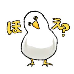 USACO_20250730023545