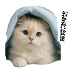 日常生活表情包（4）