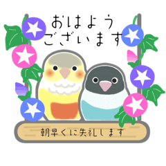 Amour_20250729200414