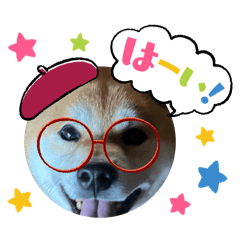 happy_20250729225337