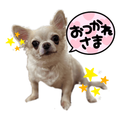 asuka_20250729225739