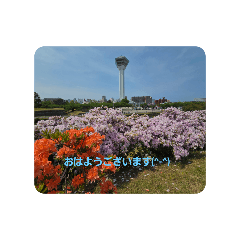 Flower_20250729074928