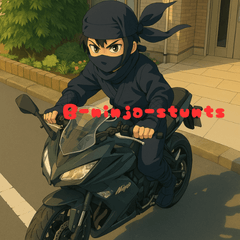 B-ninja-stunts