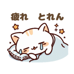 Long COVID Cat