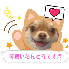 YUMI_20250730110725