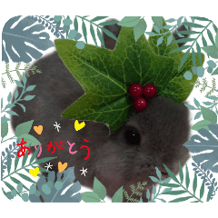 monaka_20250730153755