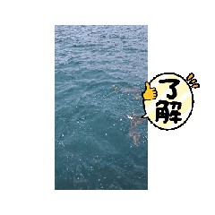JUN_20250730185303