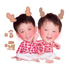 －林以淇－