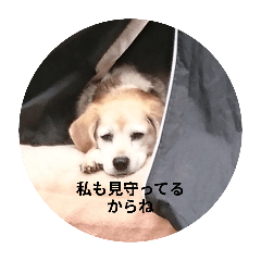 eriko_20250730194900