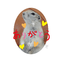 harry_20250730194658