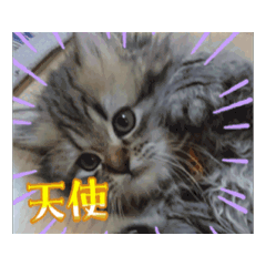 arisa_20250730222008