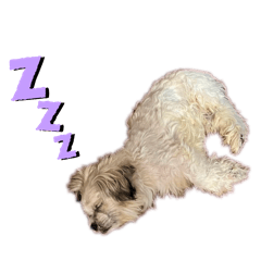 serina_20250730160649