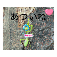 taron_20250730230948