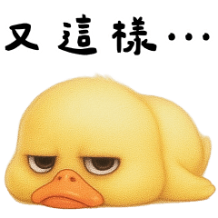 小黃鴨 充滿愛的實用篇