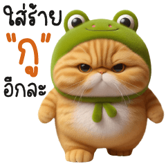 เหมียวหัวกบหัวกบ-ใส่ร้ายกูอีกละ