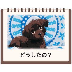 koko_20250730132856