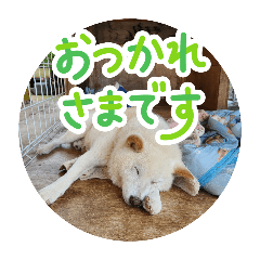 KAZUE_20250730152106