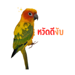 Saiko_20250730183528