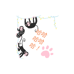 哈尼比拉