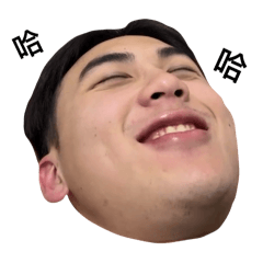 大笨蛋的耍寶日記