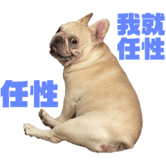 呆呆萌萌