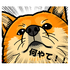 KURUMI_20250730224243