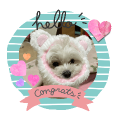 natsumi_20250730214604