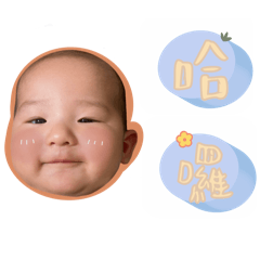 錘錘表情包日常用語