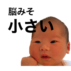 natsu_20250731071949