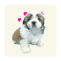 Misaki_20250730224520