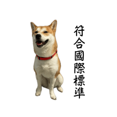 我是小將將我爸比是大壞蛋