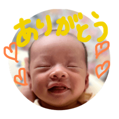 panda_20250729170736