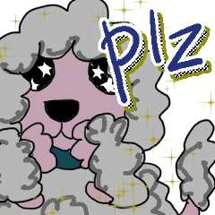 Poo-chan, a fluffy toy poodle.