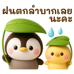 rainy penguin(thai)