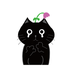 喵吉和墨吉的小日常