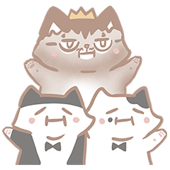 Oreo The Grumpy Cat