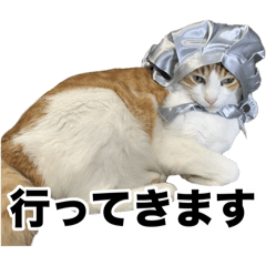 tomochi_20250729182606