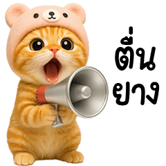 แมวส้มหมวกหมีสีชมพูน่ารัก