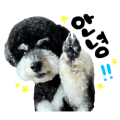 yu-ki_20250729191043