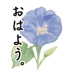 花の絵手紙風スタンプ＊文字大き目