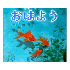 Animated Cool Summer Greetings